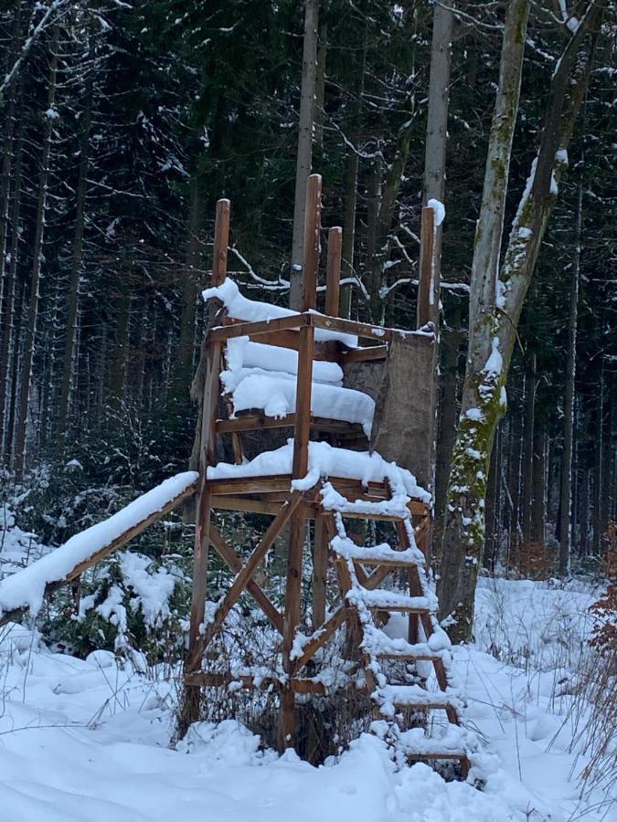 ホテル Zum Waldfrieden ノイホーフ エクステリア 写真